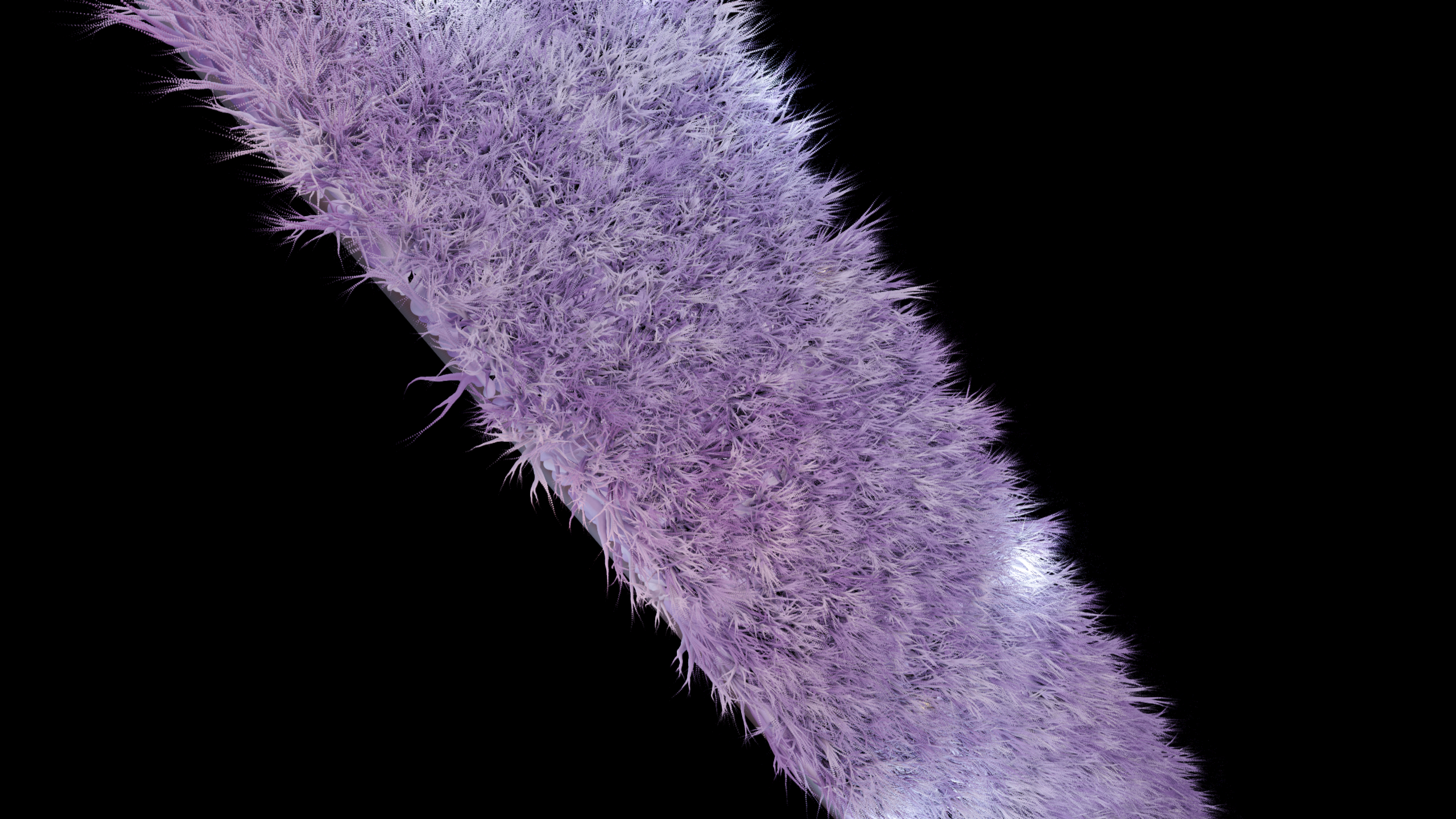 fuzz1